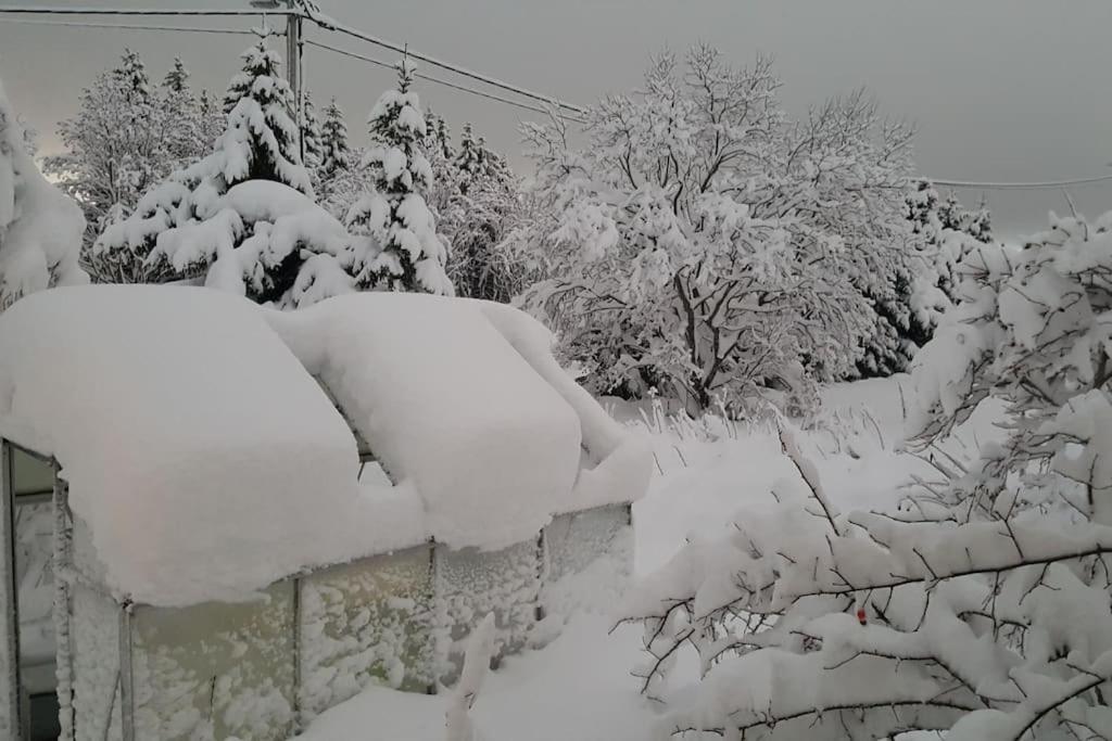 Spacious House In Tromso, Perfect For Groups Of Families, Tourists Or Workers 外观 照片