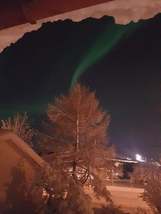 Spacious House In Tromso, Perfect For Groups Of Families, Tourists Or Workers 外观 照片
