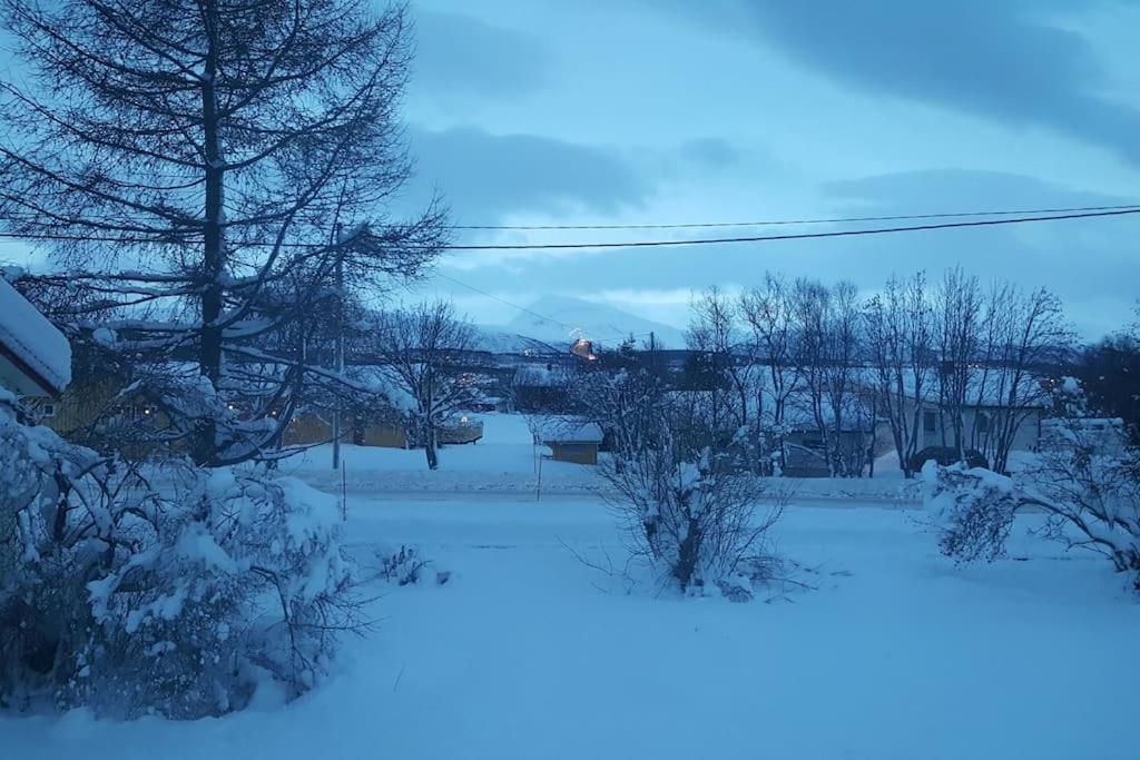 Spacious House In Tromso, Perfect For Groups Of Families, Tourists Or Workers 外观 照片